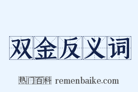 双金反义词是什么意思的图片